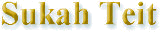 Sukah 9